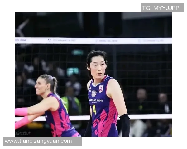 杭州排球队实力强劲荣登排球个人能力排行榜第四名