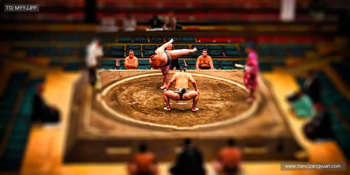 📺高清多机位,VR 沉浸体验!实时弹幕互动,不错过任何精彩!🎯